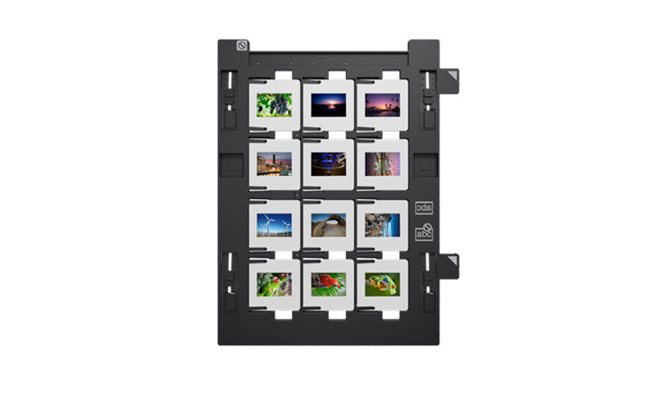 epson_v800-photo-26-.png